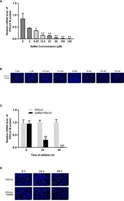 Mechanism of <mark class="highlighted">selenomethionine</mark> inhibiting of PDCoV replication in LLC-PK1 cells based on STAT3/miR-125b-5p-1/HK2 signaling